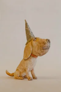From the studio 245 — ceramic and mixed-media sculpture by Steve Jones